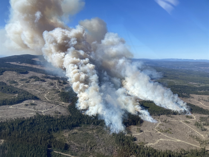 'Trees going up like Roman candles' as fire season starts early in B.C ...