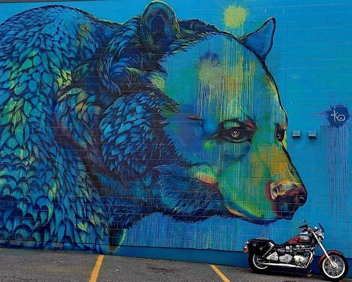 A mural of bear can be found in downtown Kamloops. 