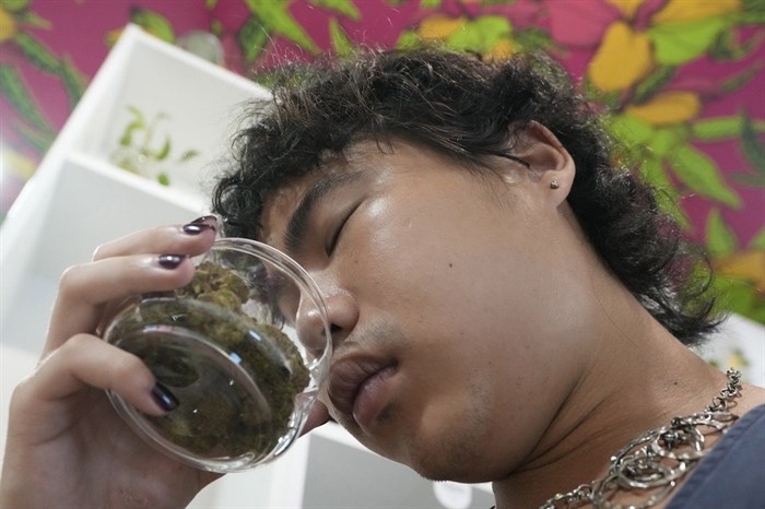 A customer smells cannabis buds at a Cannabis shop in Bangkok, Thailand, Wednesday, May 15, 2024. Prime Minister of Thailand Srettha Thavisin said Wednesday, May 8, 2024 that he wants cannabis to be officially classified as a narcotic drug, a rollback from the complete decriminalization of the plant two years ago.