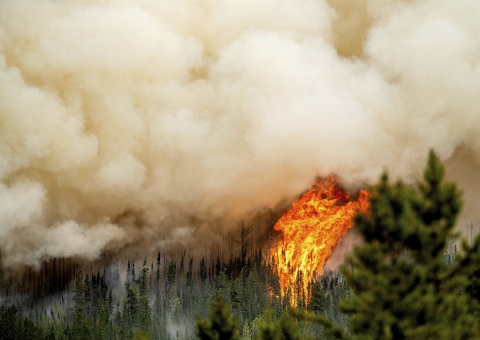 Holdover wildfires: Why BC may see more overwinter fires this season ...