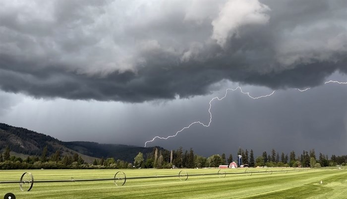 A lightning strike in a field in Coldstream. 