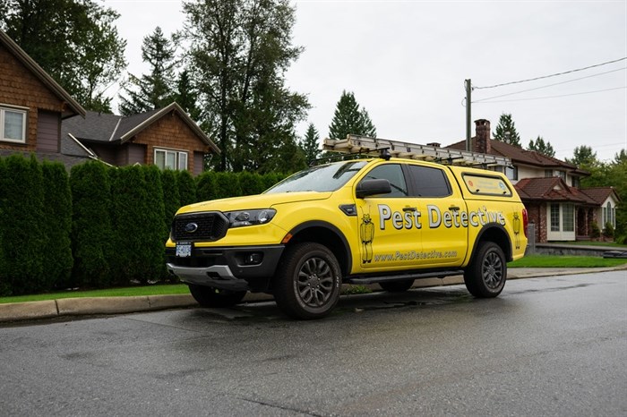 Pest Detective truck