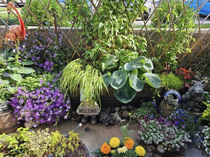 An Okanagan gardener used up every inch of her patio space to fill it with blooms. 