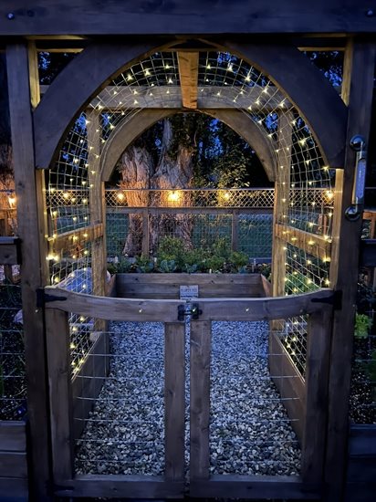 This entrance to an Okanagan garden is lit up with fairy lights. 