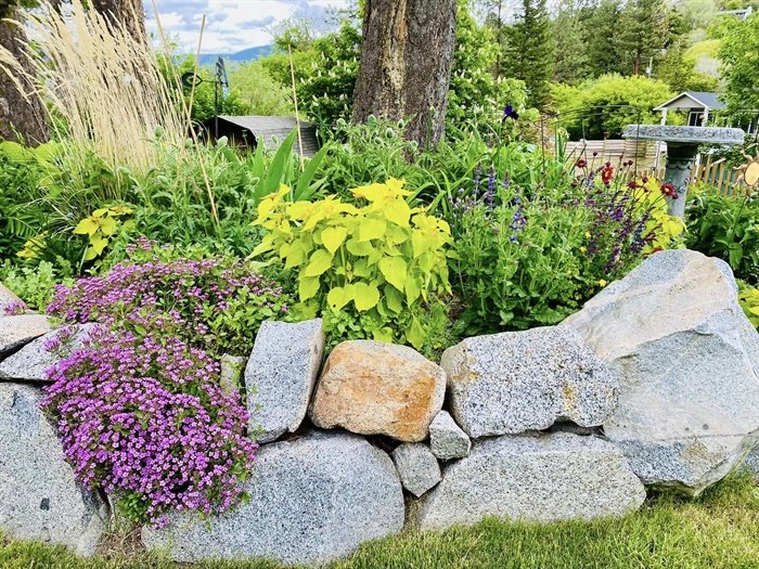 A Kamloops gardener made a colourful raised rock garden. 