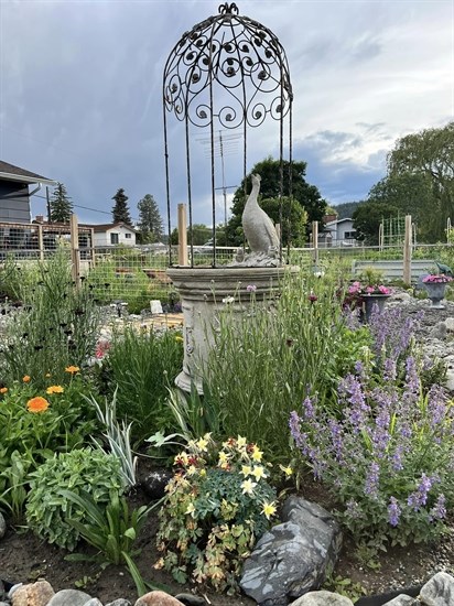 A garden in Heffley Creek is full of drought resistant plants. 