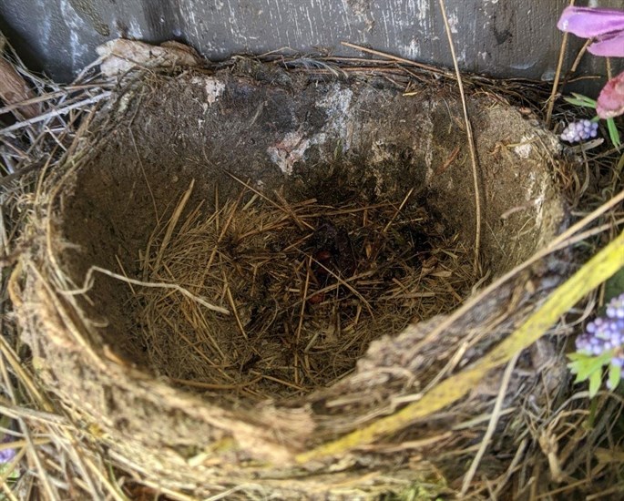 An empty birds' nest sits on a door wreath at a home in Summerland. 