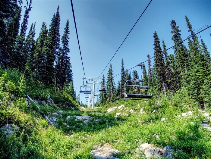 Long grass, rocks and trees can be seen from a chairlift at Big White Ski Resort in the summer. 