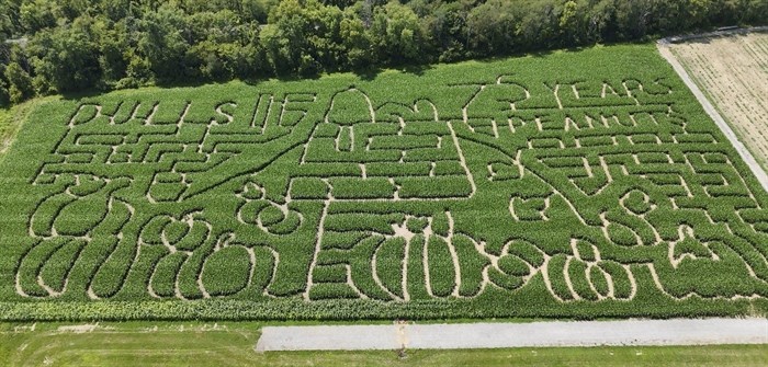 This July 17, 2024 image released by Dull's Tree Farm and Pumpkin Harvest shows a corn maze honouring the 75th anniversary of the Peanuts comic strip in Thorntown, Ind.