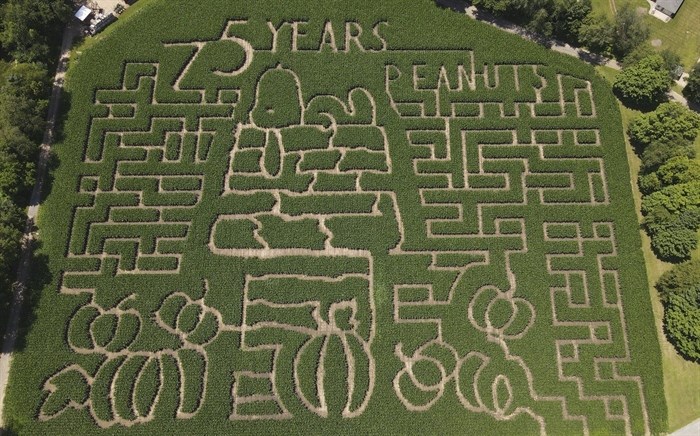 This July 17, 2024 image released by Gull Meadow Farms shows a corn maze honouring the 75th anniversary of the Peanuts comic strip in Richland, Mich.