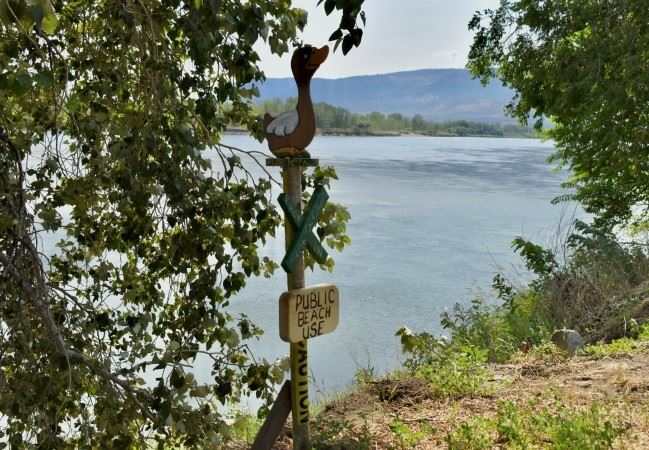 Kamloops man takes back riverbank from homeless encampments | iNFOnews |  Thompson-Okanagan's News Source