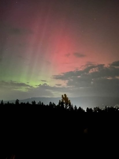 The outline of pine trees are set against a lit up backdrop of northern lights in Summerland. 