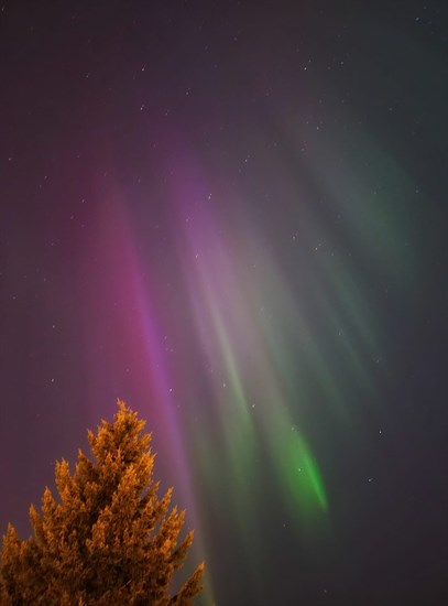 The northern lights could be seen clearly in Clearwater on Aug. 11. 