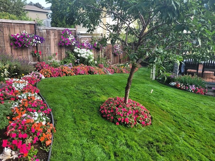 A garden and hanging flower baskets line a manicured lawn in Kamloops. 