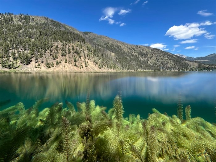 The surface and under the surface of Kelly Lake are seen here. 