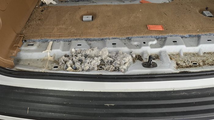 Mice nest in the truck of a 2016 Cadillac Escalade