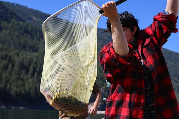 A member of the Ktunaxa Nation prepares to release an acoustically tagged adult sockeye salmon into the Arrow Lakes on Aug. 30, 2024.