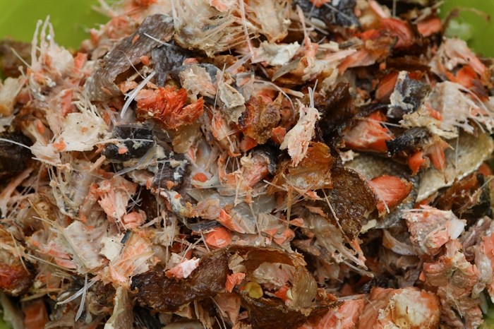 Salmon bones and skins are piled after an annual salmon feast, to be offered into the Okanagan River during a water ceremony at sx???x??nitk? (Okanagan Falls) on Sept. 22.