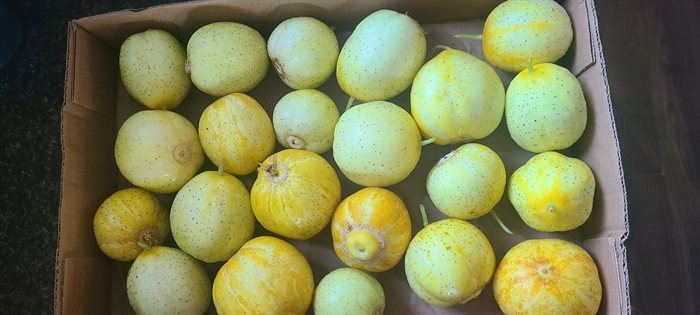 These bright lemon cucumbers were grown in a Kamloops garden. 