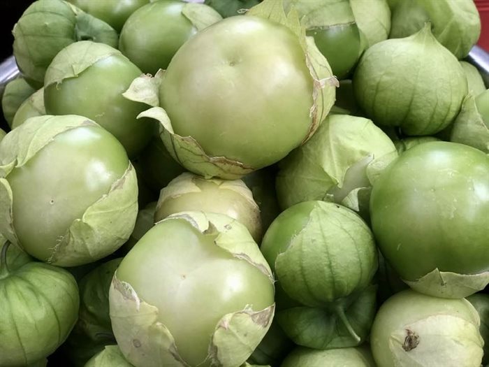 These tomatillos were grown in a Kelowna garden. 