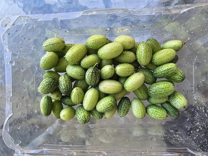 A gardener in Kamloops grew cucamelons. 