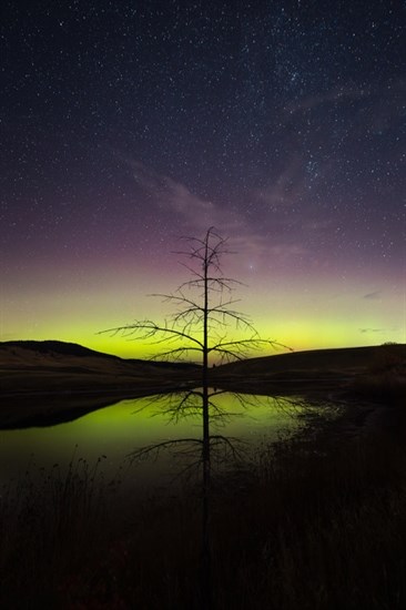 The northern lights and starry sky was photographed in the Kamloops area in October. 