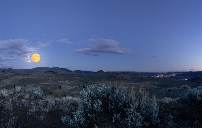 The October full Hunter moon rises over the Lac Du Bois grasslands in Kamloops. 