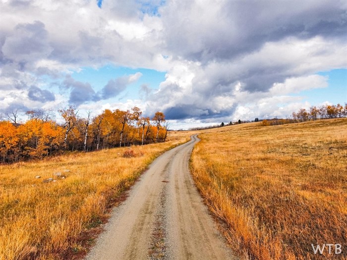 The grasslands in Kamloops are pictured in October. 