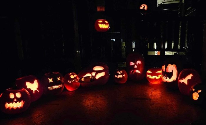 A family in Princeton carved a whole lot of jack-o-lanterns. 