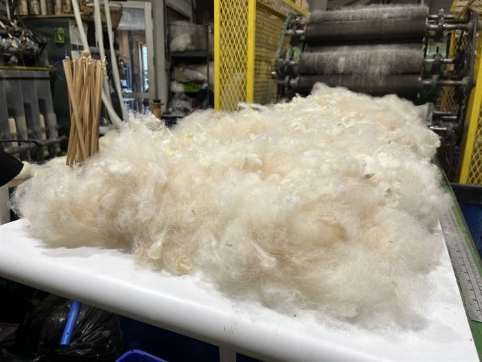 A pile of fluffy natural fleece will be turned into yarn at That Darn Yarn Shop & Fibre Mill in Kamloops. 