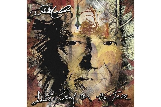 This cover image released by Sony Music shows "Last Leaf On the Tree" by Willie Nelson.