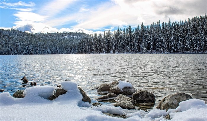 McConnell Lake in Kamloops looks chilly under fresh fallen snow. 