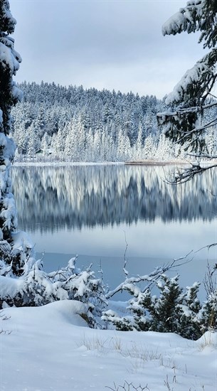 Stake Lake in Kamloops looks like a winter wonderland. 