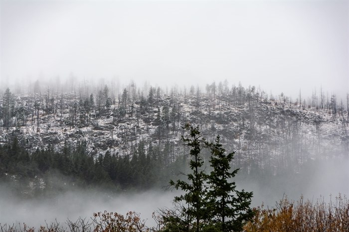 This frosty looking photograph was taken in the backcountry in Summerland. 