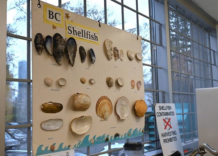 More than 100 bivalve samples arrive at the CFIA lab weekly, needing to be tested for toxins that cause paralytic shellfish poisoning, amnesic shellfish poisoning and diarrhetic shellfish poisoning.