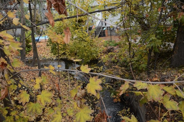 The creek running through the property.