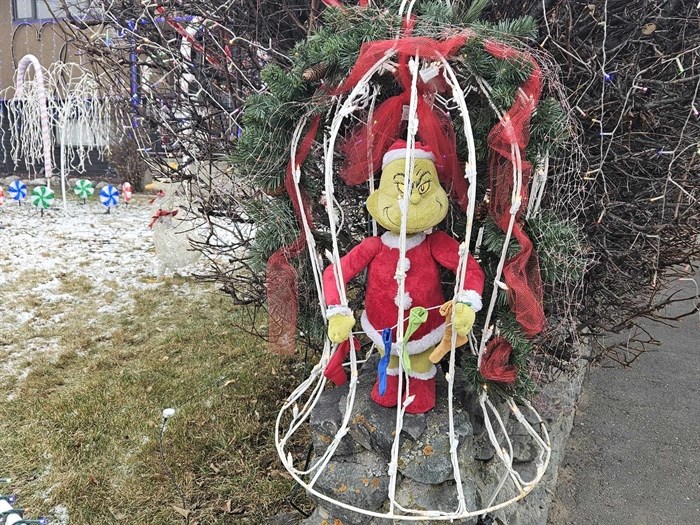 This Grinch doll is trapped in a cage at 5215 Dallas Drive in Kamloops. 