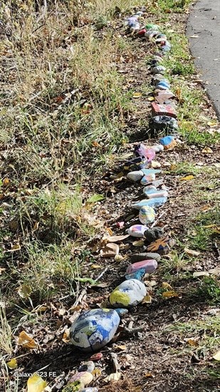 A rock snake is located at McArthur Island Park in Kamloops. 