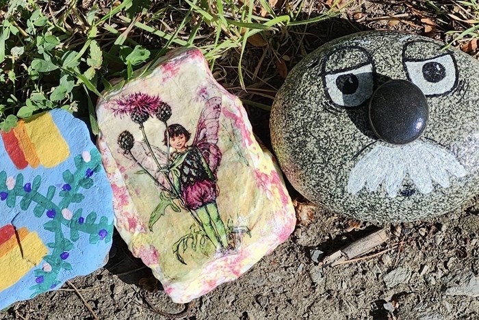 These painted rocks are part of a rock snake at McArthur Island Park in Kamloops. 