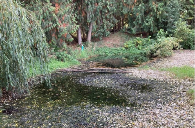 Sewage surfacing on the property seen in a photo dated Sept. 28, 2023, from a Ministry of Environment inspection report.