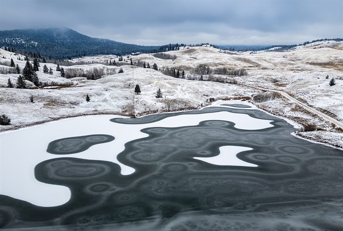 The Lac Du Bois grasslands look frosty in Kamloops. 