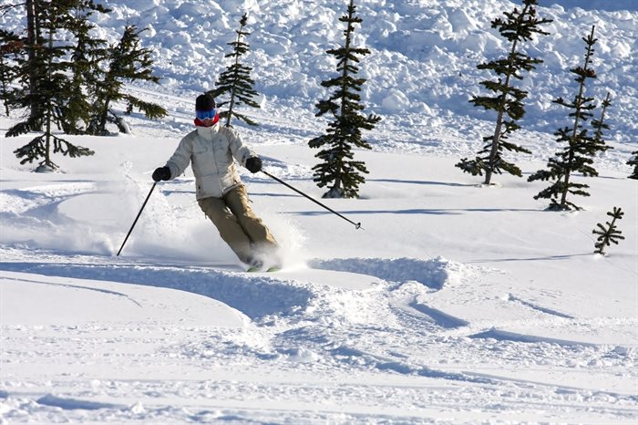 A skier glides through fresh snow on a clear winter day