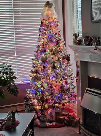 This tree sits in a Vernon home. 