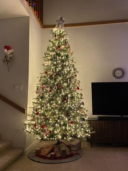 A West Kelowna home has a beautifully decorated tree. 