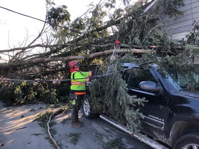 Pine Valley Tree Service