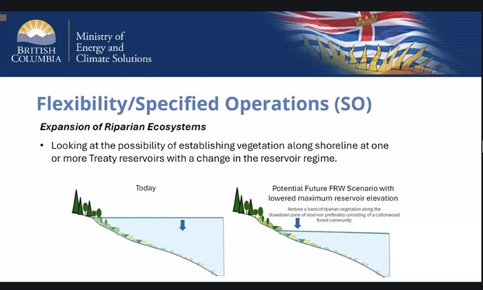 A presentation slide showing the details of the AIP’s ‘Canadian Flexibility’ component, or specified operations, which if implemented would reduce reservoir water levels to help restore ecosystems. 