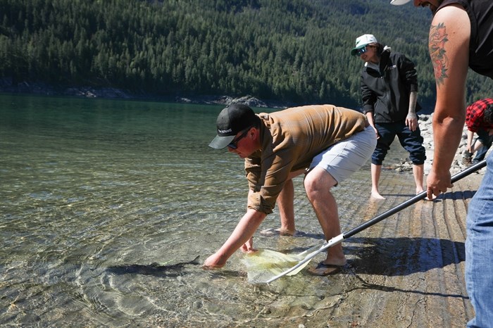 Lance Thomas, with the Ktunaxa Nation’s Guardian program, releases an acoustically tagged adult sockeye salmon into the Arrow Lakes on Aug. 30, 2024.