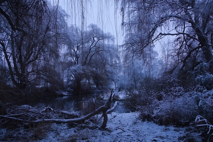 Chichester Wetlands Park in Kelowna looks calm and moody at blue hour.  