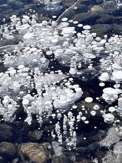 Air bubbles in Kamloops Lake are frozen in place during a deep freeze. 