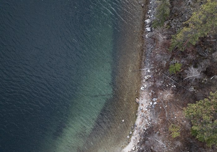 A bird's eye view of protected shoreline on Okanagan Lake.